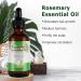 LAXED Rosemary Mint Scalp & Hair Strengthening Oil with & Essential Oils Nourishing Treatment - Buy Online on SooperMarket.com