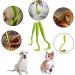 3PCS of Tick Hooks are Suitable for all Tick Anti-Tick Levers to Protect Dogs Cats and Horses Tick Traps Tick Hooks Tick Traps (Green) - Buy Online on SooperMarket.com