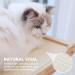 Pecute Cat Window Perch Sisal Scratcher 2-in-1 Hammock Seat | Heavy-Duty Suction Cups | Holds up to 30lbs - Buy Online on SooperMarket.com