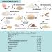 Helle Lower-Carb Bun Mix 350g - Organic Vegan Gluten-Free Sourdough Bread Protein-Rich No Cereals - Perfect for Healthy Lifestyles - Buy Online on SooperMarket.com