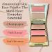 Buy Tarte Amazonian Clay Party Palette Cheek Set - International Shipping Available | Shop Now - Buy Online on SooperMarket.com