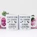 Promoted from Dog Grandparents to Human Grandparents 2024 Coffee Mug Pregnancy Announcement New Grandpa and Grandma Gift Baby Announcement Coffee Mugs - Buy Online on SooperMarket.com