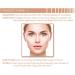 FILFEEL Highlighter Stick Highlight Powder Shade Contour Makeup Foundation Stick(2) - Buy Online on SooperMarket.com