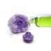 Grand Fusion Liquid Soap Dispensing Exfoliating Loofah for Men and Women  Exfoliating Body Scrubber Compatible with Your Favorite Body Wash  Convenient Loop to Hang  Pack of 3  Purple 3 Count (Pack of 1) Purple