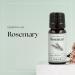 Nikura Rosemary Essential Oil 10ml - 100% Pure for Hair Growth | Aromatherapy Diffuser | Vegan Friendly - Buy Online on SooperMarket.com