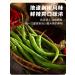 Sichuan specialty spicy Chili sauce and paste 230g/can green&red pepper chopped chili sauce delicious noodle sauce Chinese food instant spicy snacks (Double Pepper Sauce 1can) Double Pepper Sauce 1can - Buy Online on SooperMarket.com