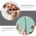 BELLIFFY 4pcs Pet Toothbrush Cat Care Toothbrush Manual Dog Toothbrush Toothpaste Plastic - Buy Online on SooperMarket.com