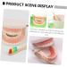 Minkissy Educational Tooth Brushing Toy Set - Early Learning Teeth Model for Kids | Reusable Pedagogical Teaching Tools - Buy Online on SooperMarket.com
