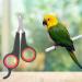 Bird Nail Trimmers Pet Bird Parrot Small Animals Accessory Grooming Tool Nail Scissors Clipper for Small Breeds Puppies Rabbits Cat - Buy Online on SooperMarket.com