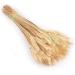 25pcs Colorful Natural Dried Flowers Bouquet Wheat Plants Bunches New Year Craft Wedding Chrismas Decor Decoration Beige 25pcs