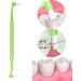 AWHAO Dual-Ended Pet Dental Brush for Cats and Dogs - Easy Clean Design Green - Buy Online on SooperMarket.com