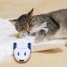 Kittio Robo Mouse: Interactive Cat Toy with Smart Steering Sensors - USB Charging - Buy Online on SooperMarket.com