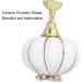 Nail Tip Stand Ceramic Pumpkin Shaped Nail Display Stand Nail Practice Stand for Home DIY and Salon Magnetic Nail Tip Holder Stand Set for Nail Beauty Salon(white) - Buy Online on SooperMarket.com