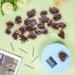 URAQT Hair Bun Shaped Set 35Pcs Invisible Hair Nets and 45Pcs Positioning U Shaped Hair Pins Elastic Edge Mesh Stretch Hair Bun Holder for Women Hair Styling Hair Bun Making A- Brown with Hairpin (80pcs) - Buy Online on SooperMarket.com