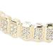 Hip Hop Teeth Brace Hip Hop Teeth Fashionable for Halloween Party for Hip Hop Fashion Shows for Concert for Men for Women(gold) - Buy Online on SooperMarket.com