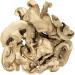 Dried Paris Mushrooms 100g - Buy Online on SooperMarket.com