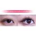 Eyeliner Guide Tool - Portable Multifunctional Eyeliner Stencils - Mascara Shield for Beginners Eyebrow Stencils for Winged Eyeliner Lashes Lip Liner Dalynn Yellow - Buy Online on SooperMarket.com
