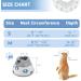 Supet Cat Cone Collar Soft to Stop Licking Cat Recovery E Collar After Surgery Cat Neck Head Cone Alternative for Small Large Cats Kittens Grey M+(8.5"-12") Grey - Buy Online on SooperMarket.com