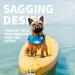 ALL FOR PAWS Chill Out Ice Bandana - Large | Cool Your Dog Down Internationally - Buy Online on SooperMarket.com