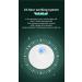 Roseflower Cat Litter Deodorizer | Intelligent Odor Eliminator & Air Purifier for Litter Boxes Kitchens & Bathrooms - #1 Choice for Pets - Buy Online on SooperMarket.com