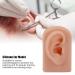 Flexible and Comfortable Human Ear Model for Acupuncture Training (Dark Skin Color) - Buy Online on SooperMarket.com