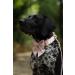 Shop Lionet Paws Bowtie Dog Collar - Silk Comfort for Medium Dogs (34-55cm) - Removable Flying Fine - Pink - Buy Online on SooperMarket.com