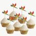 Colorful Parrot Birthday Party Cupcake Picks - 14 Pack Decorations for Tropical Parties - Buy Online on SooperMarket.com