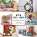 WERFORU 2 Pieces Dog Bowls Stainless Steel Dog Cat Bowls Pet Bowls For Feeding Water and Food Pink Medium Size M (2 Count) A-pink - Buy Online on SooperMarket.com