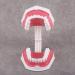 FafeICY 1PC 28 Teeth Teaching Toothbrush Model - Dentist Tool with Handy Toothbrush & Poster for Study Demonstration - Buy Online on SooperMarket.com