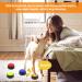 Lufeis Dog Training Bells - 4 Pack Recording Buzzers for Potty Communication & Cleanliness Training - Interactive Pet Doorbell Buttons - Buy Online on SooperMarket.com