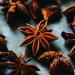 Bart Star Anise 12g - Premium Quality Spice for Culinary Delights - Buy Online on SooperMarket.com