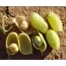 Organic Garbanzo Beans 5lb - Raw, Non-GMO, Kosher, Sproutable, Vegan, High in Dietary Fiber - Buy Online on SooperMarket.com