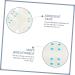 Healeved 400 Pcs Face Lifting Stickers Facial Lifting Tapes Tight Sticker Breathable Tape Adhesive - Buy Online on SooperMarket.com