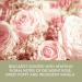 Baylis & Harding Royale Garden Rose Poppy & Vanilla Manicure Gift Set - Vegan Friendly - Buy Online on SooperMarket.com