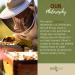 ONEROOT Canadian Raw Buckwheat Honey | Higher in Antioxidants Than Manuka (1 kg) 1 kg (Pack of 1) - Buy Online on SooperMarket.com