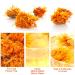 Buy 100% Natural Calendula Tea - Herbal Marigold Flower Tea for Weight Loss | Organic Chinese Flower Tea 35g - Buy Online on SooperMarket.com