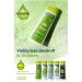Vosene Anti-Dandruff Shampoo 300ml - Effective Dandruff Treatment - Buy Online on SooperMarket.com