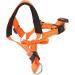 Dog Handlebars with Seat Belt - XL Orange Pet Halter for Safe Outdoor Walking | Prevent Pulling - Buy Online on SooperMarket.com