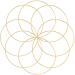 Outuxed 8pcs 10inch Metal Crafts Hoops Wreath Macrame Creations Ring for DIY Crafts Dream Catchers  Floral Macrame Hoop for Wedding Decor  Wall Hanging Craft  Gold 10 Inch