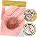 HOMSFOU 24 Pcs Simulation Chocolate Decorative Chocolate Decor Fake Candy Cake Decorating Fake Cookies Kids Bulk for Desserts Desktop Fake Chocolate Artificial Children's Products Pvc 3d Coffeex4pcs 3.9X2.8X1.8CMx4pcs - Buy Online on SooperMarket.com