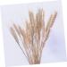 Cabilock Natural Dried Flowers 30 Pcs Natural Artificial Flower Decorative Artificial Flower As Shownx2pcs mediumx2pcs - Buy Online on SooperMarket.com