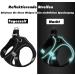 Shop Small Dog Harness & Puppy Dishes - Curli Harnesses & Catware for XS Dogs - Buy Online on SooperMarket.com