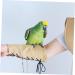 DOITOOL Outdoor Stuff 3 pcs Yellow Shawl Stuff Pet Outdoor Protective Bird Anti-Grab Style Pad for Shoulder Multi-Purpose 23.5*12cmx3pcs Khakix3pcs - Buy Online on SooperMarket.com