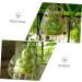 SUPVOX 5pcs Vegetable Fruits Adorable Growing Mini Growth Pear Statue Fruit Gardening Melon - Buy Online on SooperMarket.com