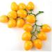 Ciieeo Simulated Small Tomatoes Models Fruit Photo Prop Faux Cherry Tomatoes Ornament Lifelike Fruit Fake Cherry Tomatoes for Decor Home Fruit Ornament Artificial Foam Fake Fruit Yellow 4.00X2.00X2.00CM - Buy Online on SooperMarket.com