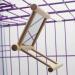 Hanging Bird Mirror Swing Toy - Interactive Play for Small Parrots & Birds - 2PCS - Buy Online on SooperMarket.com