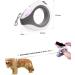 Blanlody Roller Leash for Large Dogs (Up to 80kg) - 3m Leash with Rubberized Handle Water Bowl & Decorative Bags (Green) | Shop Now!  - Buy Online on SooperMarket.com
