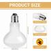 Caldarax 2 Pack Reptile Heat Lamp Bulb 50W E27 Daylight Basking Spot Bulb UV Heat Bulb for Reptiles Tortoise Bearded Dragon Snakes Lizards Chicks 50.0 - Buy Online on SooperMarket.com