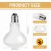 Shop Caldarax 100W Reptile Heat Lamp - Dual E27 UVA Daylight Terrarium Sunlamp for Turtles & Lizards | Perfect Basking Spot - International Shipping Available! - Buy Online on SooperMarket.com