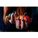 30 Pcs Halloween Press on Nails - Red Long Stiletto Fake Nails with Cat's Eye Design | Stick on Almond Style for Women | Perfect Holiday Nail Art - Buy Online on SooperMarket.com